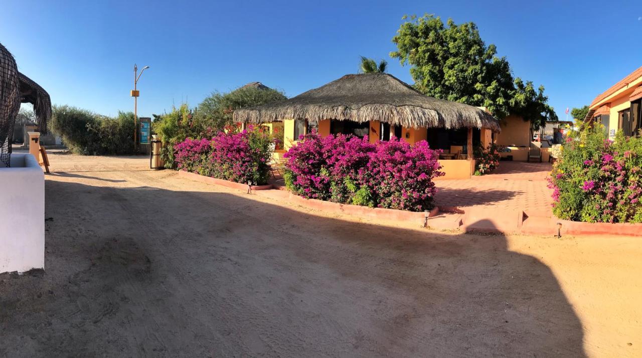 Bungalows Cabo Pulmo ภายนอก รูปภาพ