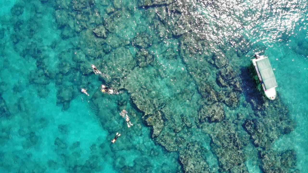 Bungalows Cabo Pulmo ภายนอก รูปภาพ